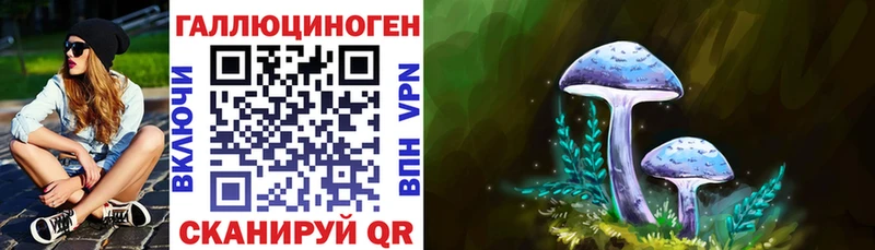 купить наркоту  Чишмы  Псилоцибиновые грибы ЛСД 
